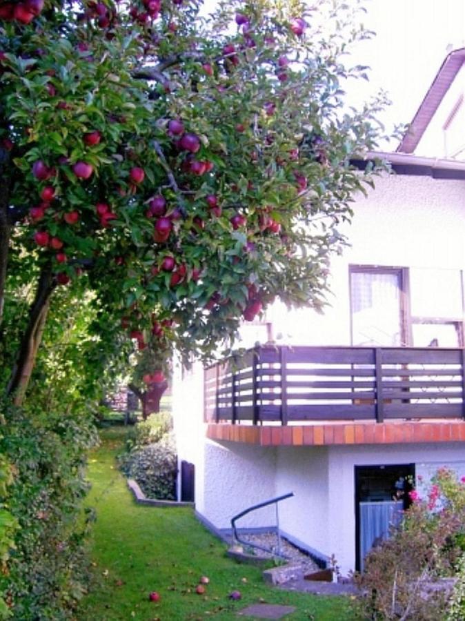 Ferienwohnung Keckl Бейлнгрис Екстериор снимка